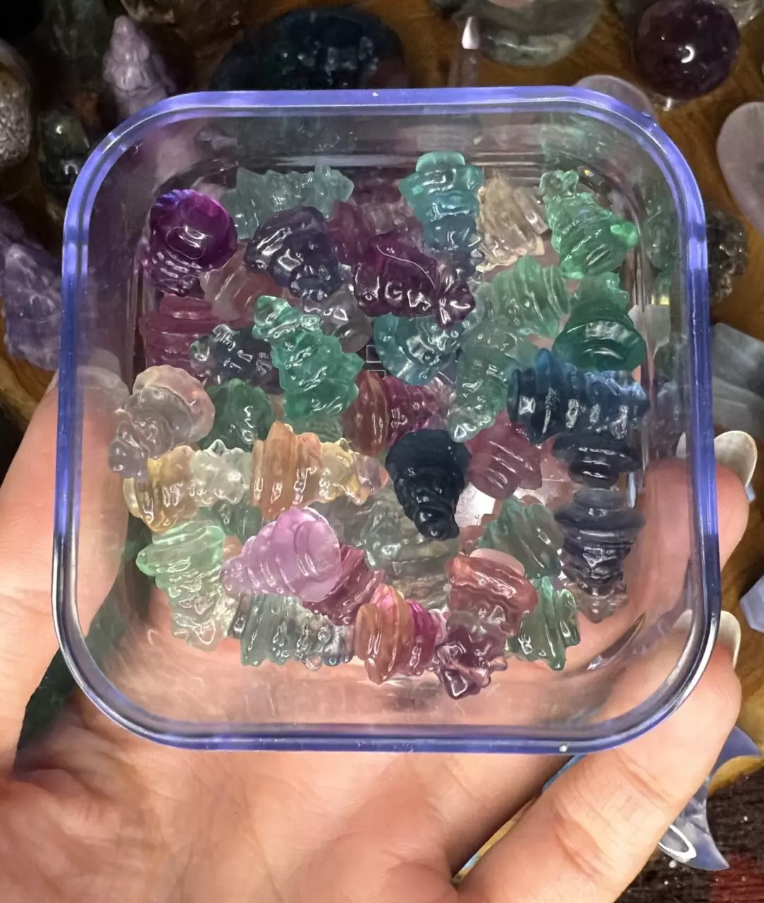 plant/Mini flourite Christmas tree 6-0