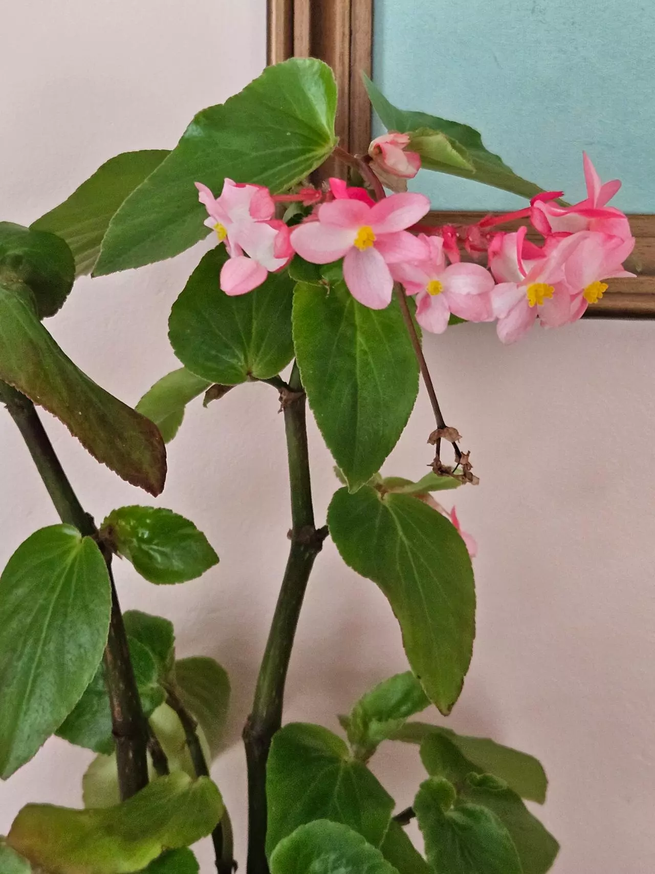 shipping_upgrade/OVERNIGHT-0