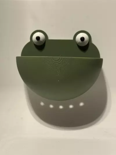 plant/Magnetic Frog Ledge-2-thumbnail