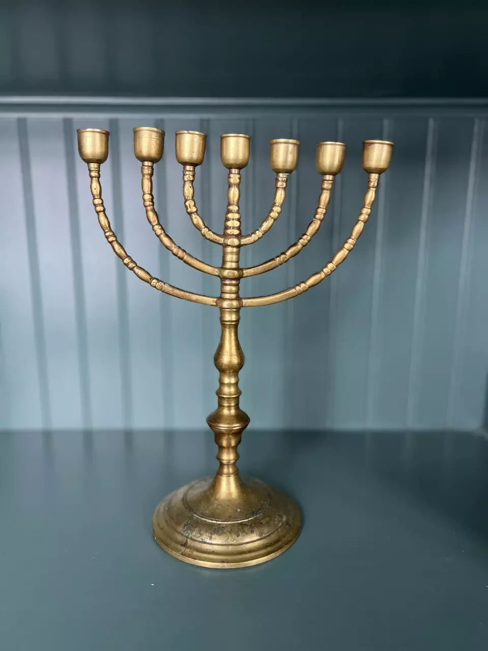 plant/Large Solid Brass Menorah-0