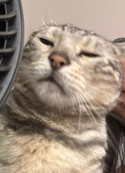 plant/Heat Pack (Recommended for temps 45 and under)-0-thumbnail