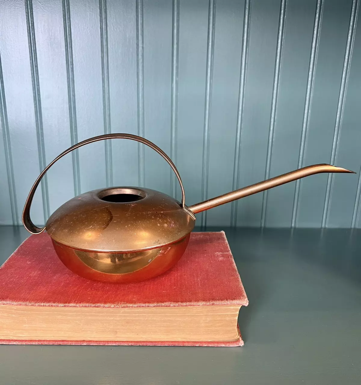 plant/Copper Watering Can-0