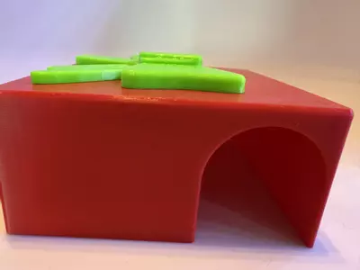 plant/Present Hide-2-thumbnail