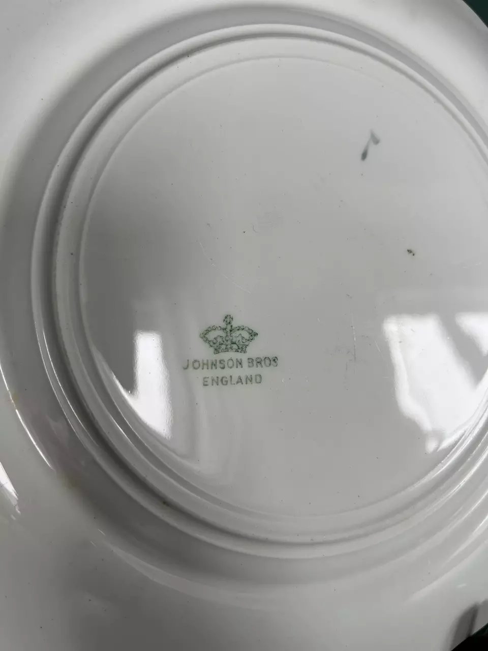 plant/Johnson Brothers Plates-1