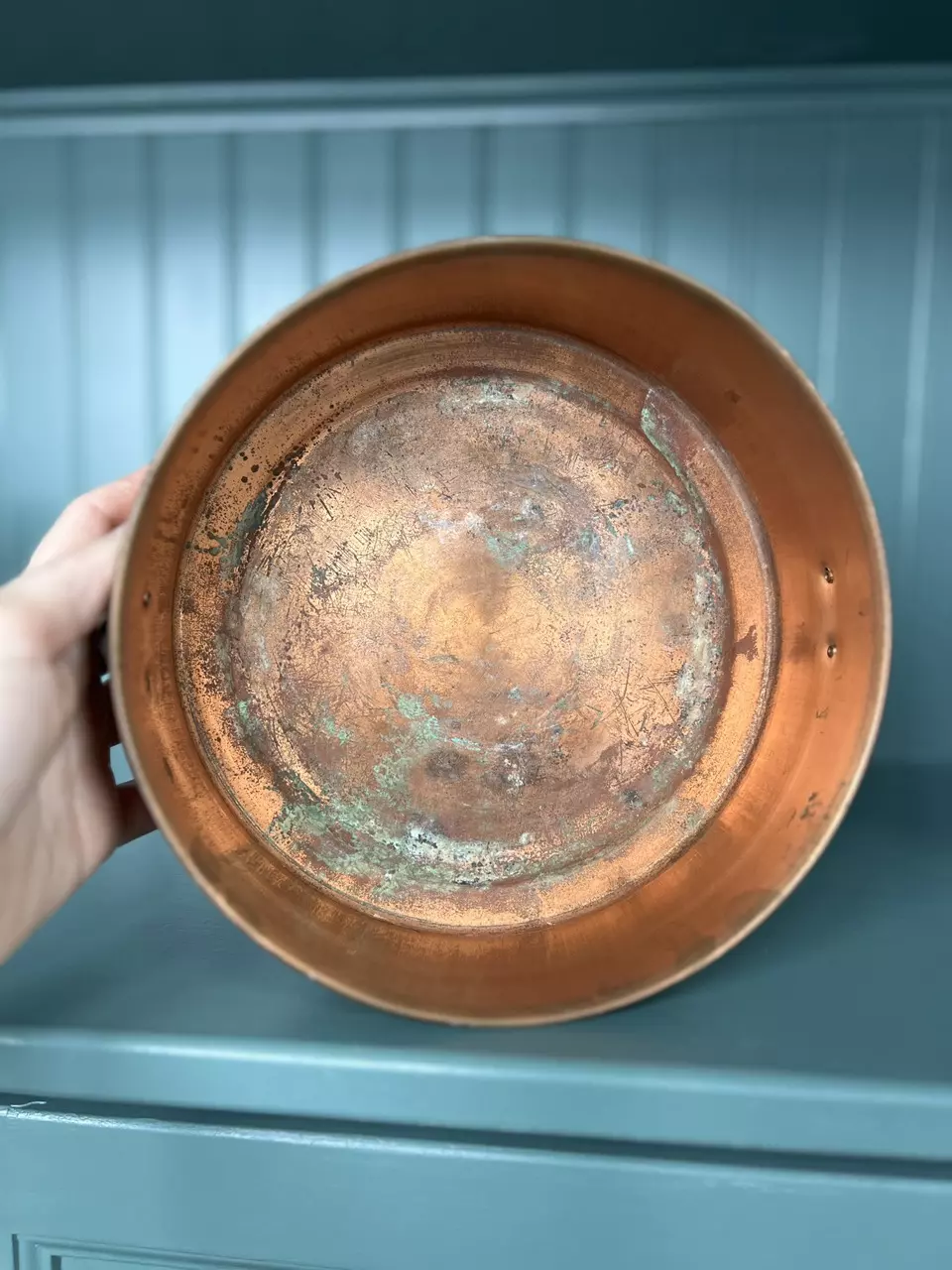 plant/Round Copper Pot with Brass Lion Heads-2