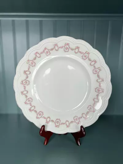 plant/Johnson Brothers Plates-0-thumbnail