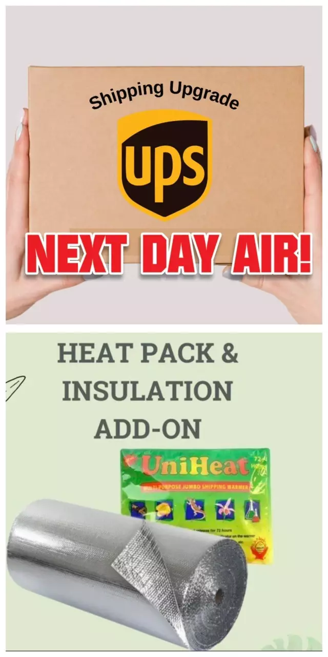plant/UPS NEXT day air + Winter Protection upgrade-0