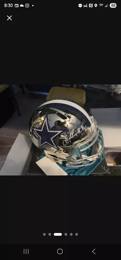 plant/1 full and 1 mini Break -3-thumbnail