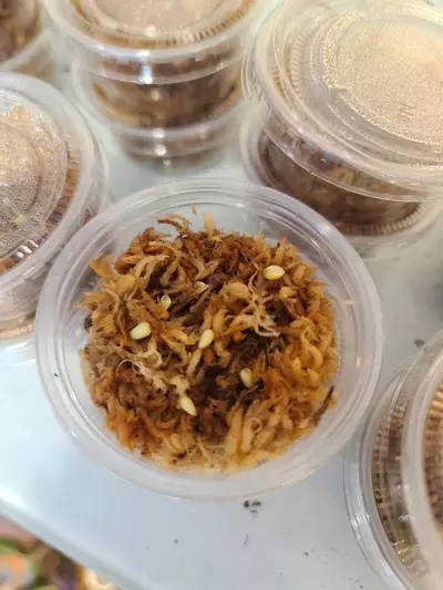 plant/Crystallinum round x long-0-thumbnail