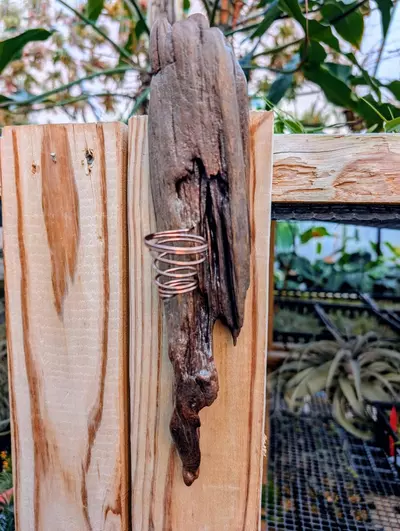 plant/H18 Driftwood w/ Wire Airplant Wall Hanger-0-thumbnail