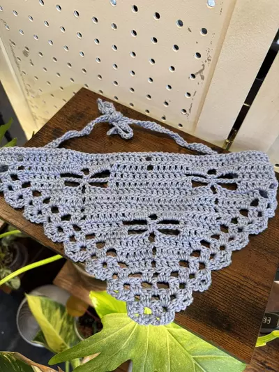 plant/Dragonfly Crochet Bandana-0-thumbnail