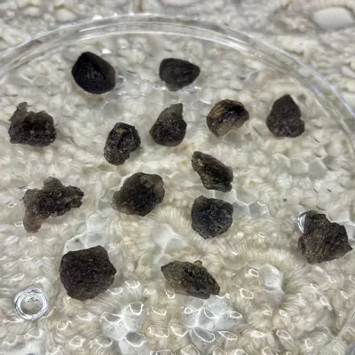 plant/Small Agni Manitite from Java Indonesia - Intuitively Chosen (1)-1-thumbnail