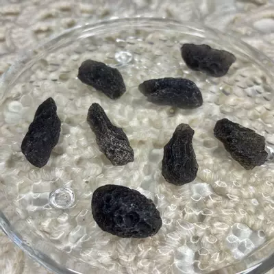 plant/Large Agni Manitite from Java Indonesia - Intuitively Chosen (1)-1-thumbnail