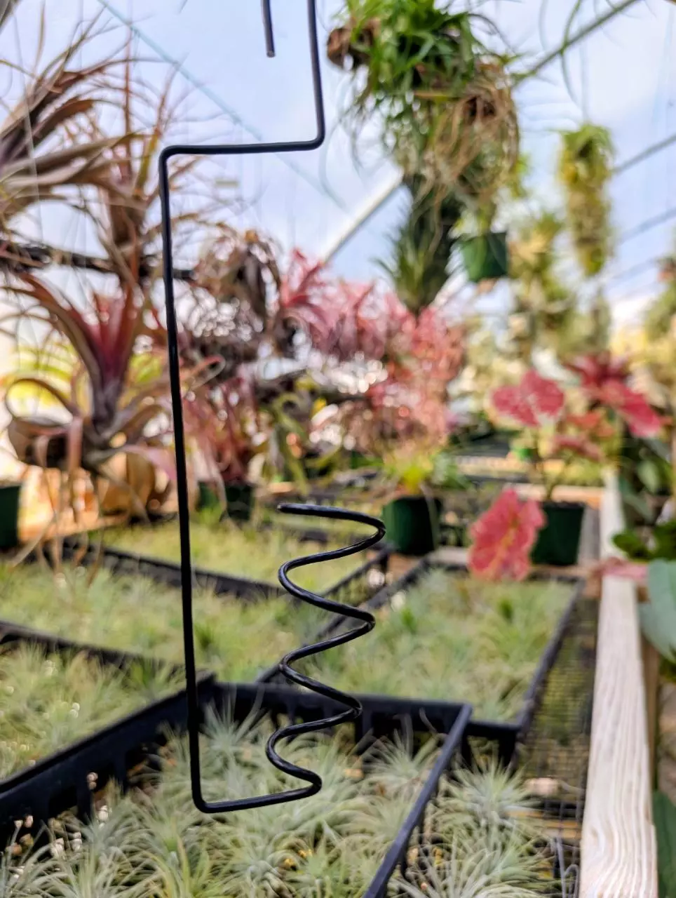 plant/H17 Wire Airplant Hanger-0