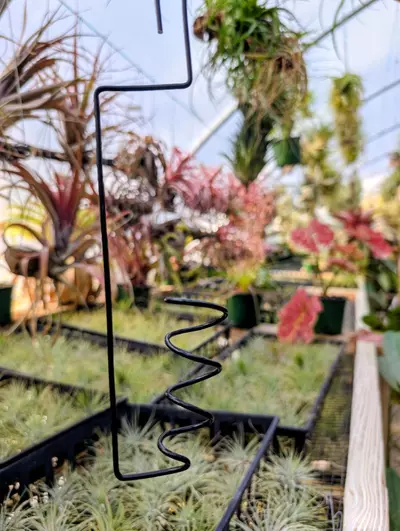 plant/H17 Wire Airplant Hanger-0-thumbnail