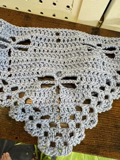 plant/Dragonfly Crochet Bandana-1-thumbnail