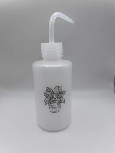 plant/Ashley’s Alocasias Plant Watering Squeeze Bottle- 250 ml-2-thumbnail