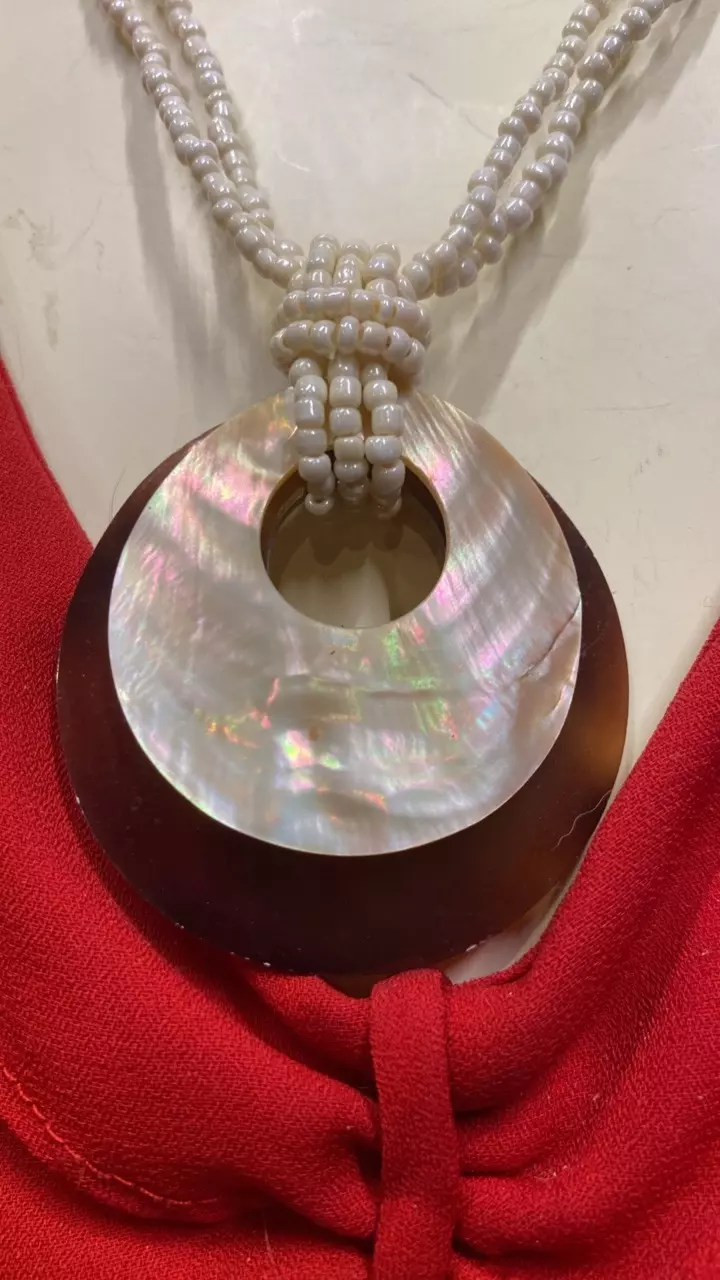 plant/VN 765 vintage necklace with two shell pendants with a seed bead chain-1