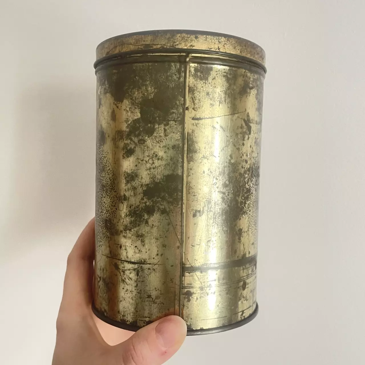 plant/Old Tin with Horse and Carriage-3