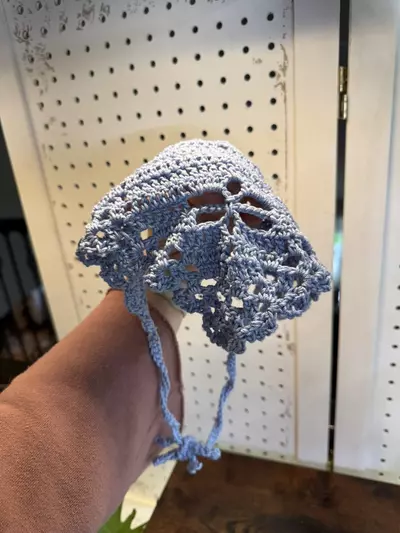 plant/Dragonfly Crochet Bandana-3-thumbnail