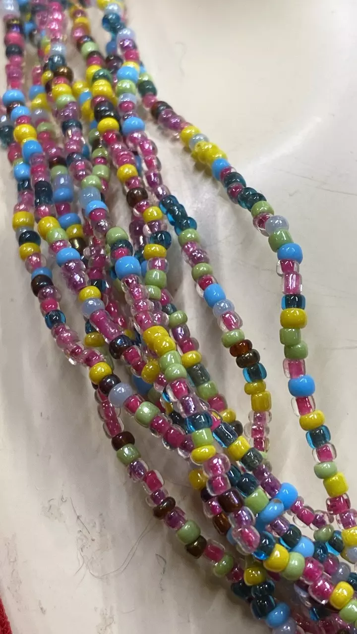 plant/VN 763 multicolor, multi strand seed bead necklace-1