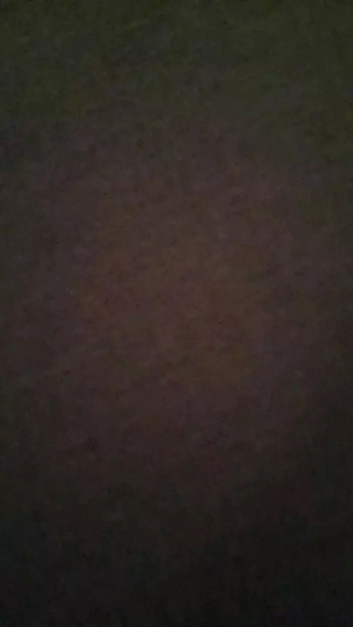 plant/Moldavite 15 chips 1 piece 46.50 pangaea-0