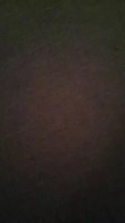 plant/Moldavite 15 chips 1 piece 46.50 pangaea-0-thumbnail