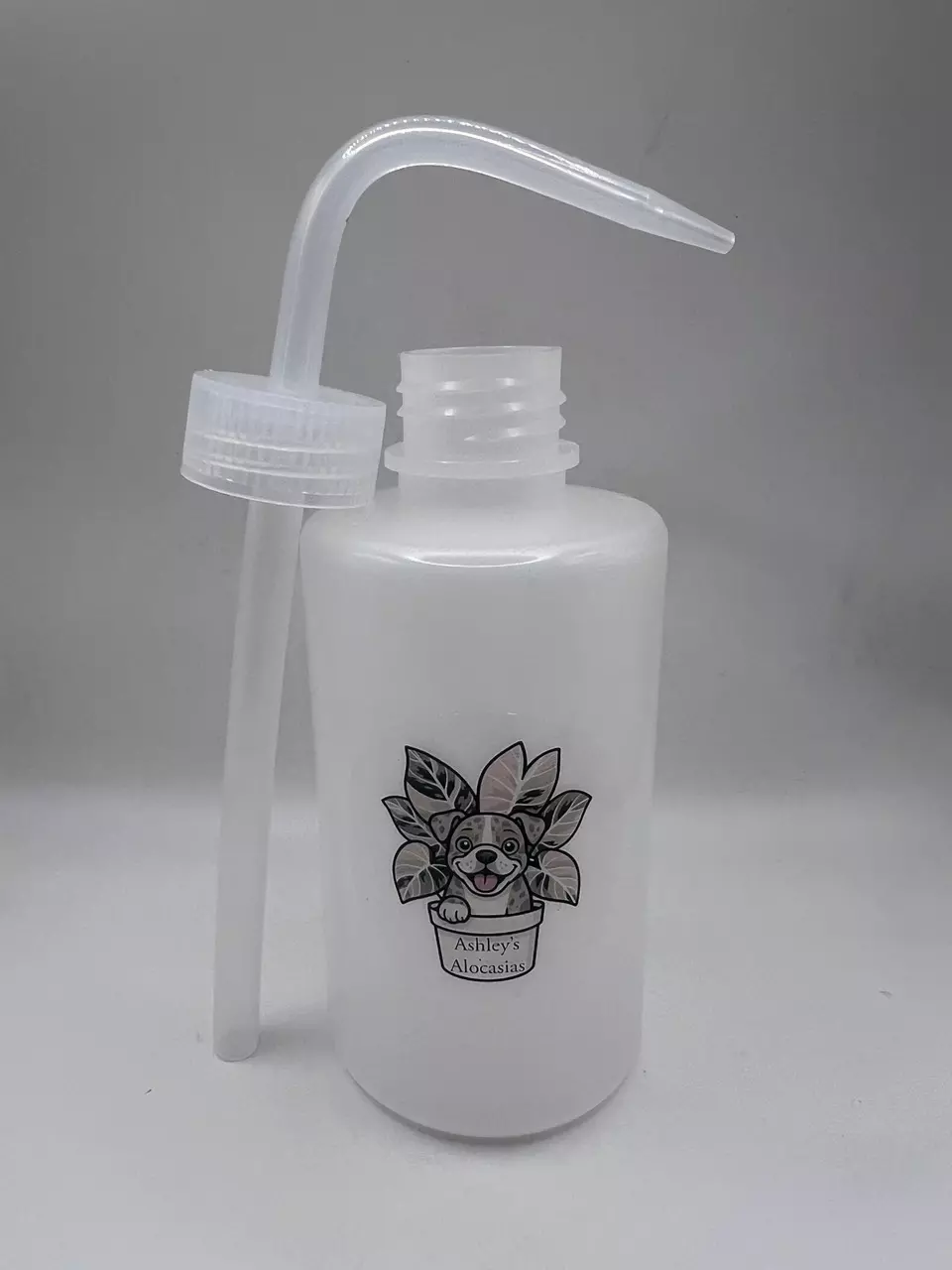 plant/Ashley’s Alocasias Plant Watering Squeeze Bottle- 250 ml-0