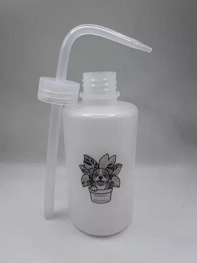 plant/Ashley’s Alocasias Plant Watering Squeeze Bottle- 250 ml-0-thumbnail