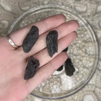 plant/Large Agni Manitite from Java Indonesia - Intuitively Chosen (1)-0-thumbnail