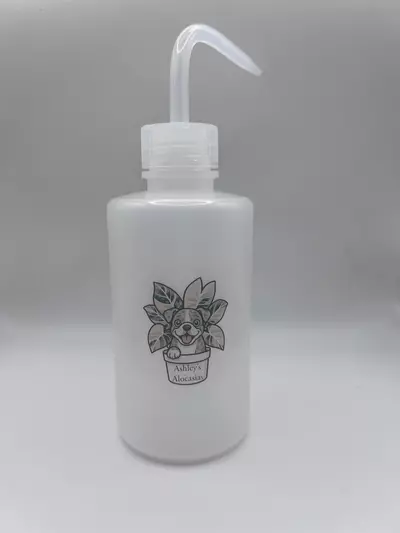 plant/Ashley’s Alocasias Plant Watering Squeeze Bottle- 250 ml-3-thumbnail