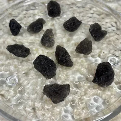 plant/Medium Agni Manitite from Java Indonesia - Intuitively Chosen (1)-1-thumbnail