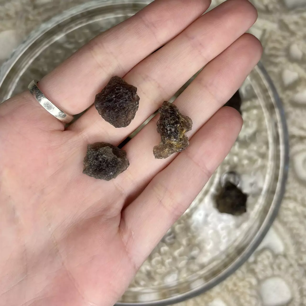 plant/Small Agni Manitite from Java Indonesia - Intuitively Chosen (1)-0