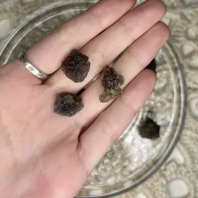 plant/Small Agni Manitite from Java Indonesia - Intuitively Chosen (1)-0-thumbnail