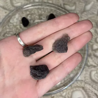 plant/Medium Agni Manitite from Java Indonesia - Intuitively Chosen (1)-0-thumbnail