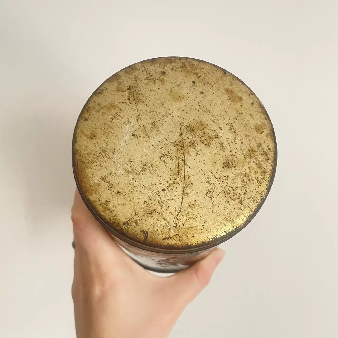 plant/Old Tin with Horse and Carriage-1