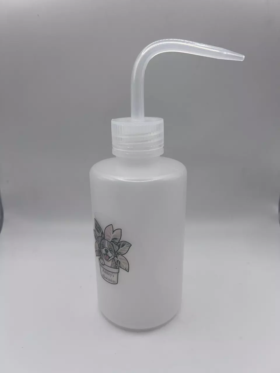 plant/Ashley’s Alocasias Plant Watering Squeeze Bottle- 250 ml-4