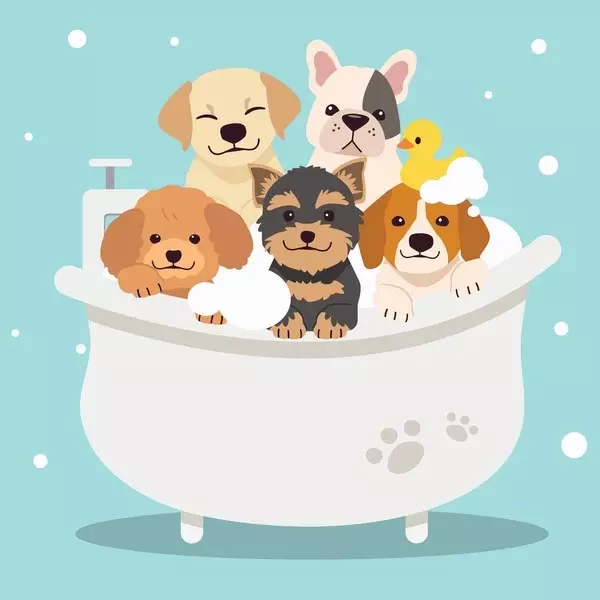 plant/EcoPup- Organic Dog Shampoo 18oz-0