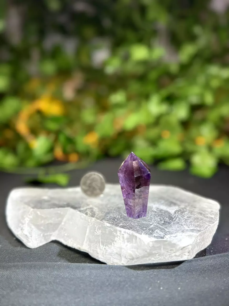 plant/VERY high quality Ametrine with Blue hair #E-1