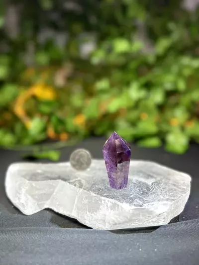 plant/VERY high quality Ametrine with Blue hair #E-1-thumbnail
