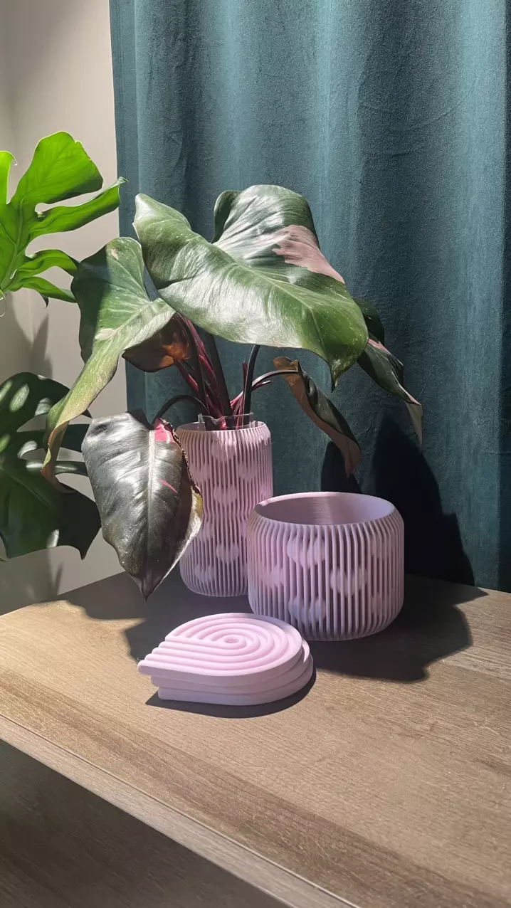 plant/💕Stylish Modern Home Decor: Spiral Coaster Set & Ribbed Heart Collection💕-0