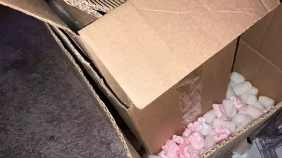 shipping_upgrade/Additional shipping for 2nd box initial shipping-0-thumbnail