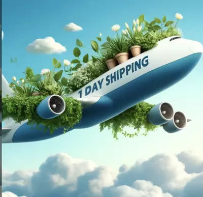 heat_pack/Upgrade shipping 1 day-0-thumbnail