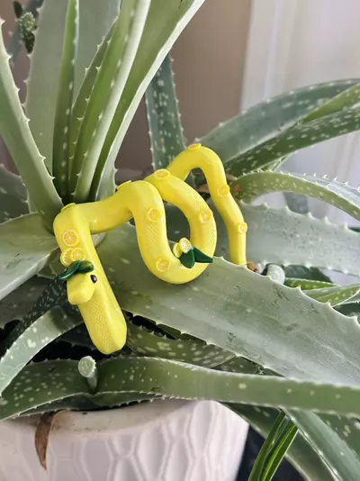 plant/Lemon Snake Plant Pot Decor-4-thumbnail