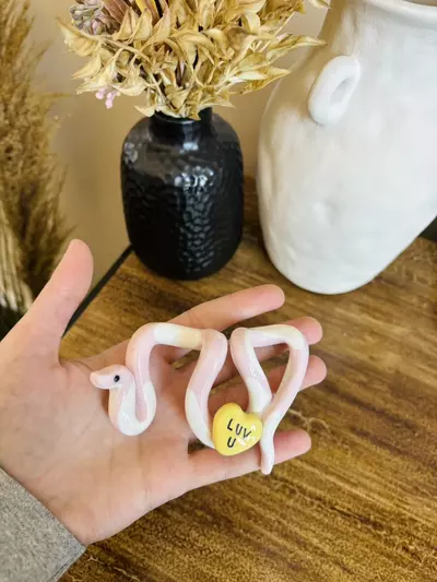 plant/Candy Heart Snake Pot Perch - Plant Pot Decor-1-thumbnail