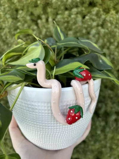 plant/Strawberry Snake Plant Pot Decor-3-thumbnail