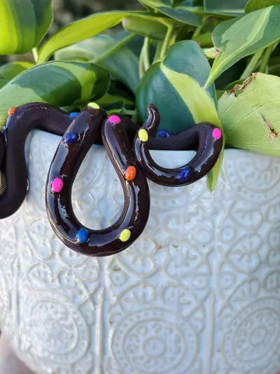 plant/Rainbow Brownie Pot Perch - Plant Pot Decor-5-thumbnail