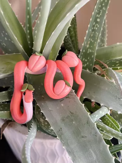 plant/Peach Snake Plant Pot Decor-4-thumbnail