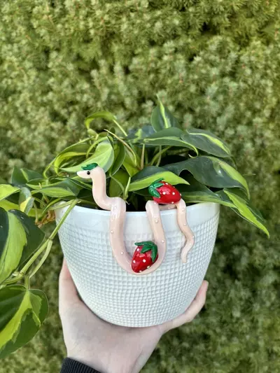plant/Strawberry Snake Plant Pot Decor-2-thumbnail