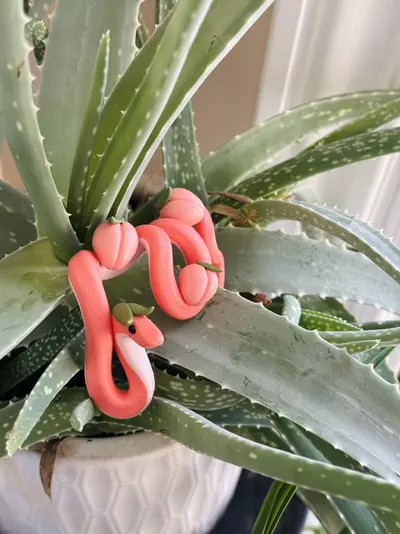 plant/Peach Snake Plant Pot Decor-5-thumbnail
